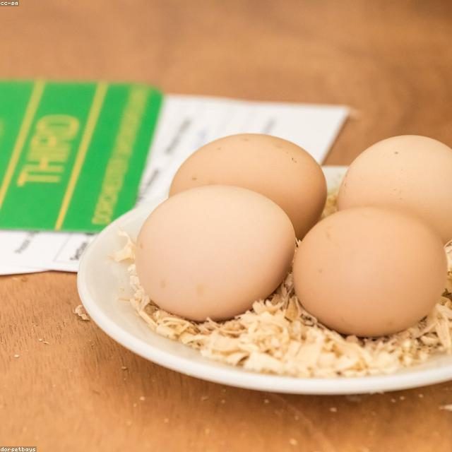 Domaća jaja