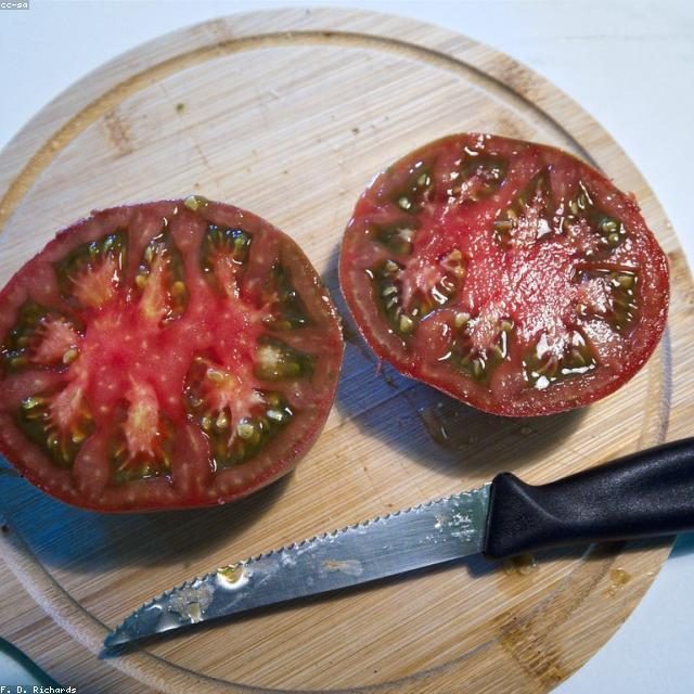 Organski paradajz